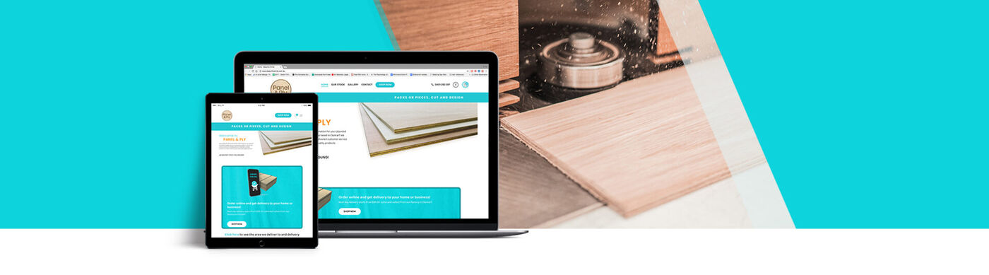 Panel&Ply website
